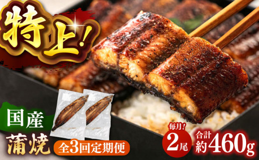 【寄附額見直し】全3回定期便 特大！ 鹿児島産うなぎ 蒲焼2尾セット ▼ おすすめ 人気 国産 蒲焼き たれ タレ付き 海鮮  定期便 桂川町/山水商事 [ADAH012]