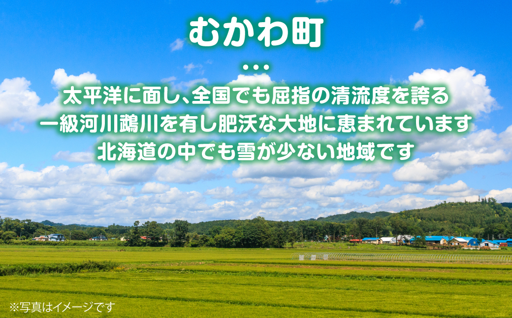北海道むかわ町産羊『どさんこシープ』の薄切りスライス(250g) MKWAJ001