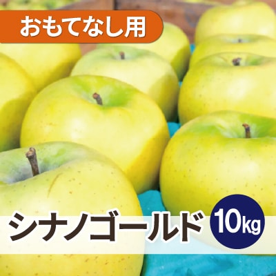 【26年3月出荷予定】平均糖度13度以上! シナノゴールド 約10kg おもてなし用【配送不可地域：離島・沖縄県】