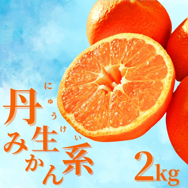 【ふるさと納税】【L～3Lサイズおまかせ】※秀優混合 丹生系みかん 2kg ※箱込み【2026年2月初旬から2月下旬頃までに順次出荷】＜味好農園＞/ 丹生系 にゅうけい みかん 柑橘 果物 フルーツ ミカン 訳あり 秀品 優品