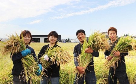 【令和7年産】さがびより5㎏（無洗米）※※12月以降順次お届け※※ B-1103
