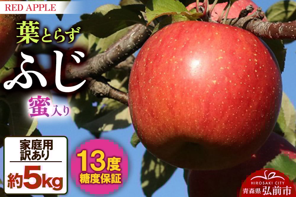 
            りんご 蜜入り 13度糖度保証【訳あり】家庭用 葉とらずふじ 約5kg
          