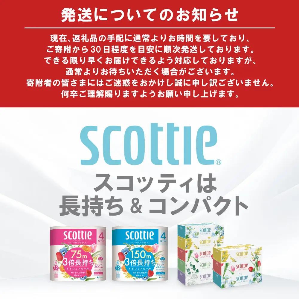 スコッティ 組み合わせ トイレットペーパー シングル 8ロール ティッシュ 250組 8箱 トイレットロール ティシュー 