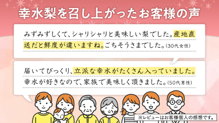 【 先行予約 】 リピーター 続出の 筑西 ブランド 幸水 （ 梨 ）5kg 果物 フルーツ なし ナシ [AE008ci]