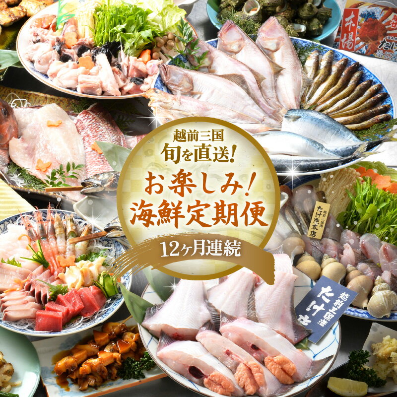 【ふるさと納税】【12ヶ月定期便】越前三国の旬を直送 「お楽しみ！ 海鮮定期便」