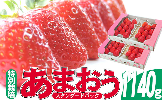 いちご 2025年12月より発送 うるう農園のあまおう スタンダード4パック 約1.14kg※配送不可：離島 果物 フルーツ デザート 食後 特別栽培 福岡県産 国産 日本産 