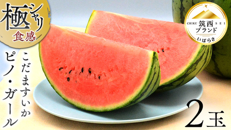 【 JA北つくば 】 極シャリ食感 ！ こだますいか 「 ピノ・ガール 」 2玉 2026年産 小玉すいか 小玉 すいか スイカ 果物 フルーツ ピノガール 西瓜 くだもの デザート 茨城 [AE018ci]
