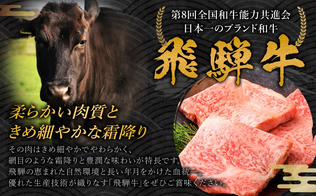 飛騨牛 A5等級 カットサーロイン ステーキ 