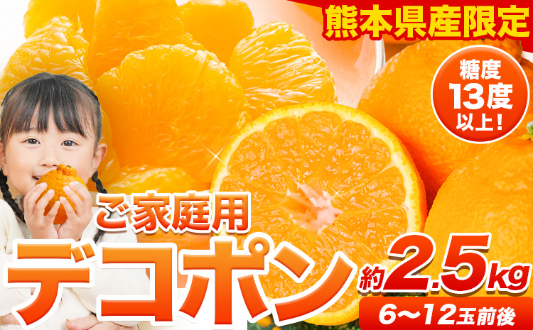 ご家庭用 デコポン デコポン約2.5kg前後(約6-12玉前後)《4月上旬-5月上旬頃出荷》不知火 熊本県産 熊本県 長洲町 糖度13度以上---ng_cdeko_ad4_r8_9500_25k---
