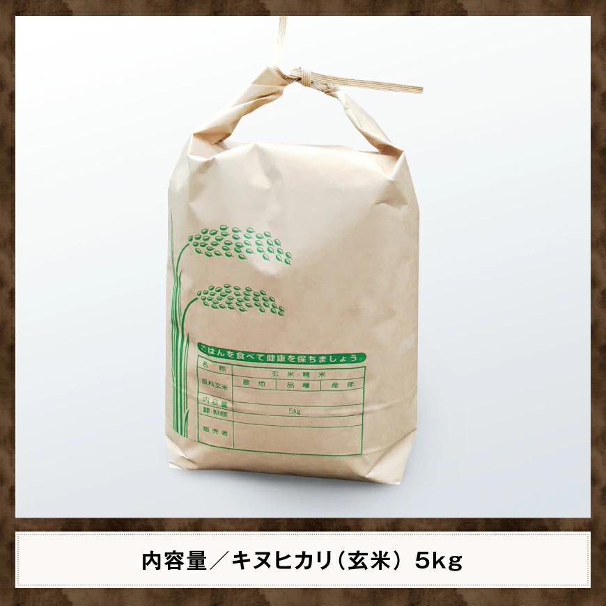 【令和6年産】 黒木農園のお米「キヌヒカリ(玄米)」 5kg【 きぬひかり 米 ごはん 農家直送 宮崎県産 おにぎり 】