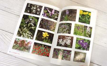 No.1148　写真集 ふくしまの桃源郷「花見山」