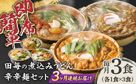 うどん 【3回定期便】田毎の煮込みうどん辛辛麺セット [ANFP012] うどん