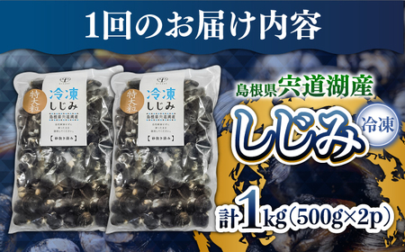しじみ 【全6回定期便】超希少！特大粒プレミアムサイズ 宍道湖産冷凍大和しじみ 特大粒500g×2袋 島根県松江市/平野缶詰有限会社[ALBZ043] しじみ しじみ