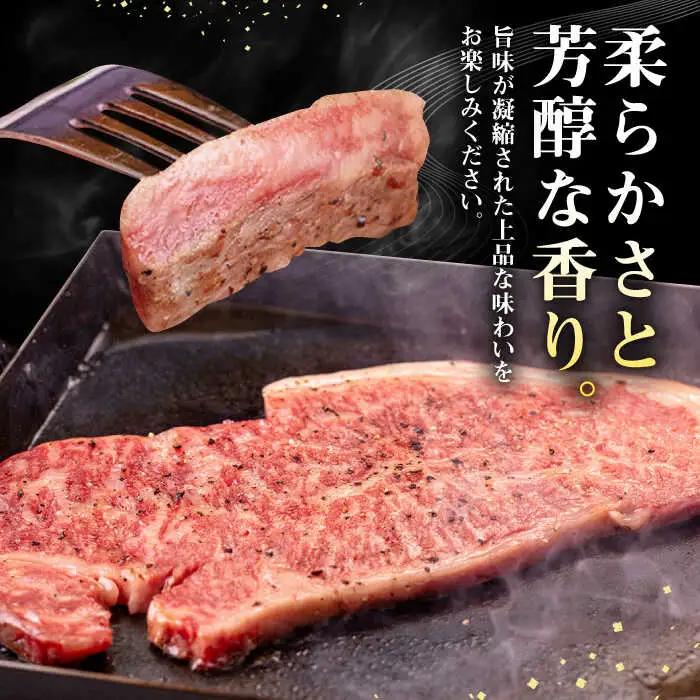 【全6回定期便】 壱岐牛 サーロインステーキ 500g（250g×2枚）《壱岐市》【株式会社イチヤマ】 肉 牛肉 サーロイン ステーキ 焼肉 BBQ [JFE030] 186000 186000円