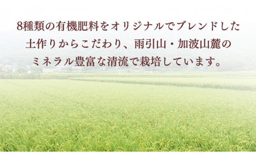 令和7年産  桜川市の 厳選 甘引米 13kg 桜川市産 特別栽培米 コシヒカリ こしひかり 米 こめ コメ 有機肥料 茨城県 いばらき [BA001sa]