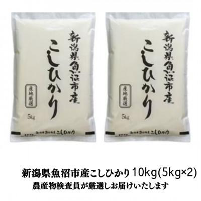ふるさと納税 魚沼市 【令和7年産】農産物検査員お奨め、魚沼産こしひかり(精米)10kg(5kg×2袋)