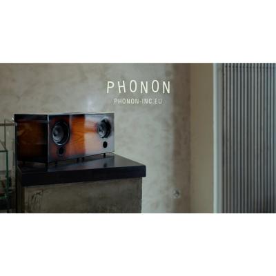 ふるさと納税 川崎市 MUSICLIFE ML-2 -sunburst-