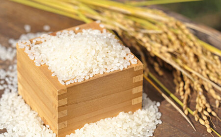 さがびより 無洗米 4kg (2kg×2袋) / 佐賀県 / 株式会社SUMRICE[41AAAV005]