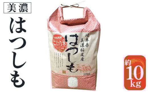 岐阜県山県市 美濃桜尾産 美濃ハツシモ（精米約10kg） [No.002] ／ お米 白米 令和5年度米 ブランド米 岐阜県 特産