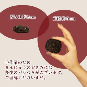 饅頭 ごままんじゅう 10個  和泉屋 饅頭 饅頭 饅頭 饅頭 饅頭 I73_02