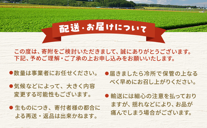 季節の野菜 野菜セットD 5種 白菜 ブロッコリー さつまいも 長ねぎ さといも 詰合せ 季節 旬 野菜 詰め合せ 国産 産地直送 秋野菜 冬野菜 葉物 冷蔵 野菜室