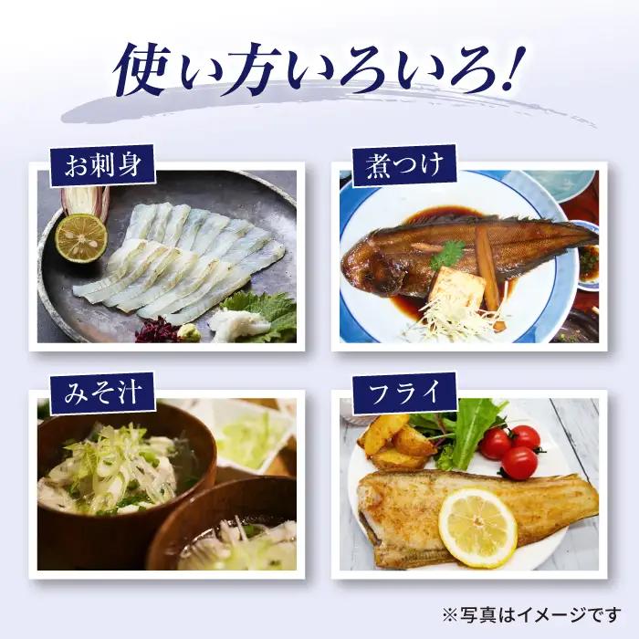 土日配送 ヒラメ と 真鯛 堪能セット[CBW004] ヒラメ 真鯛