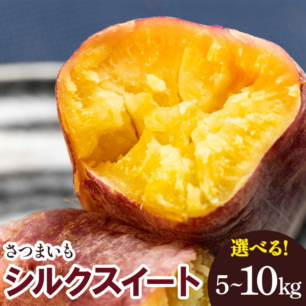 【ふるさと納税】さつまいも シルクスイート 5kg／10kg - サツマイモ さつま芋 野菜 焼き芋 やきいも 焼いも おやつ スイーツ スイートポテト 天ぷら 国産 高知県 香南市【常温】Rgr-0149