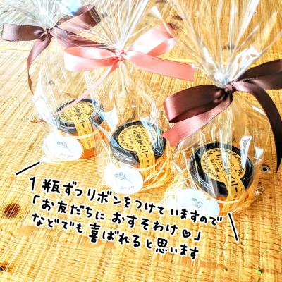 ふるさと納税 登米市 日本ミツバチ100%はちみつ【三滝堂ハニー】50g×3瓶 |  | 02