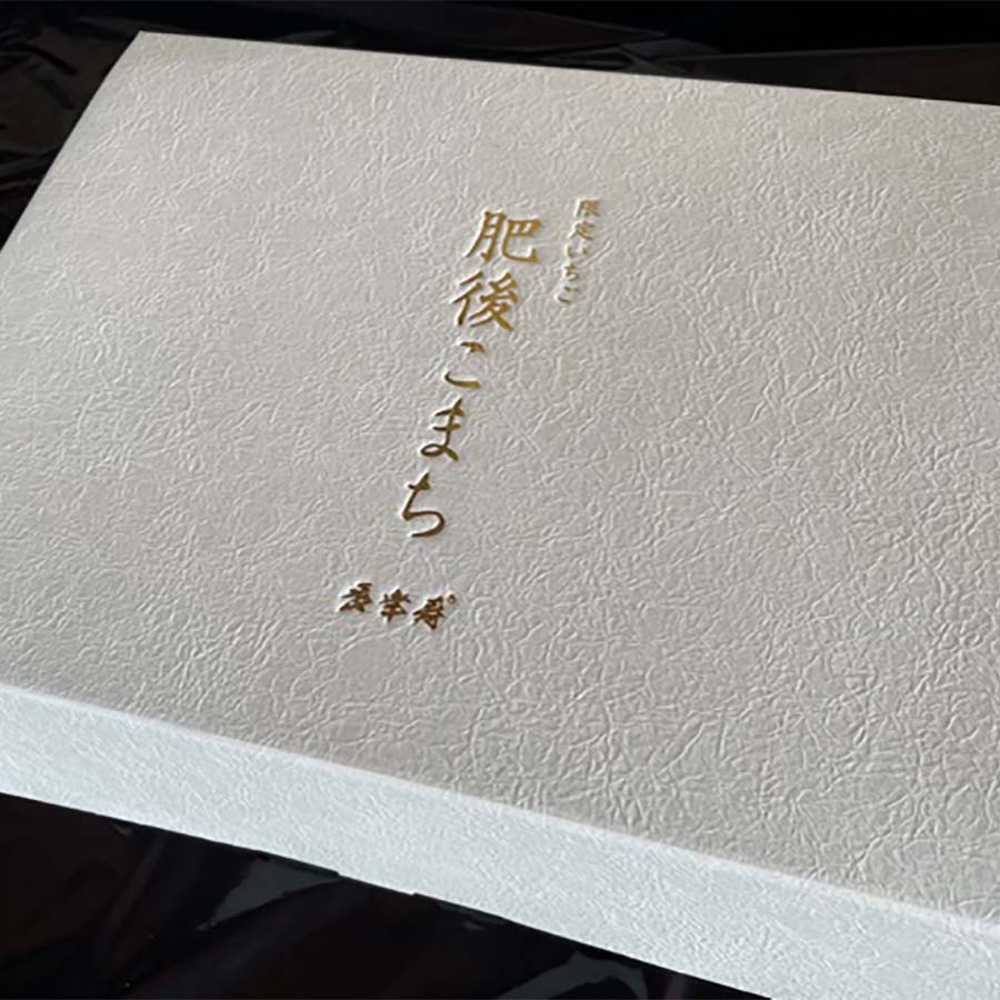 肥後こまち（いちご） 400g