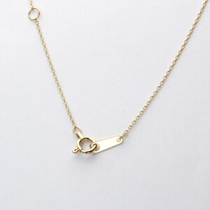 ホースシュー 馬蹄 ダイヤモンド ネックレス k18 18金 18k イエローゴールド製 dpnmcf1d