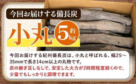 紀州備長炭 小丸 約5kg 望商店 《30日以内に順次出荷(土日祝除く)》 和歌山県 日高川町 備長炭 紀州備長炭 炭 約5kg 高級白炭 BBQ 焼肉 炭火焼き キャンプ レジャー 囲炉裏 国産 備