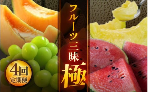 【先行予約】【定期便 4回コース】  坂井市フルーツ三昧！！「極」 【2026年6月上旬以降順次発送開始予定】【定期便 くだもの 果物 フルーツ お楽しみ スイカ 西瓜 ピノガール マルセイユメロン シャインマスカット ブドウ 葡萄 アールスメロン 贈答 ギフト 贈り物】 [H-3201]
