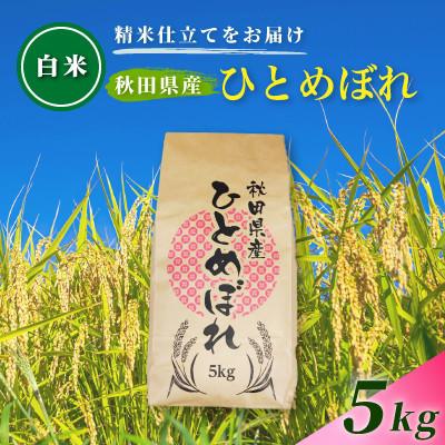 ふるさと納税 由利本荘市 【毎月定期便】【白米】通算5回特A 秋田県産ひとめぼれ 5kg(5kg×1袋)全3回