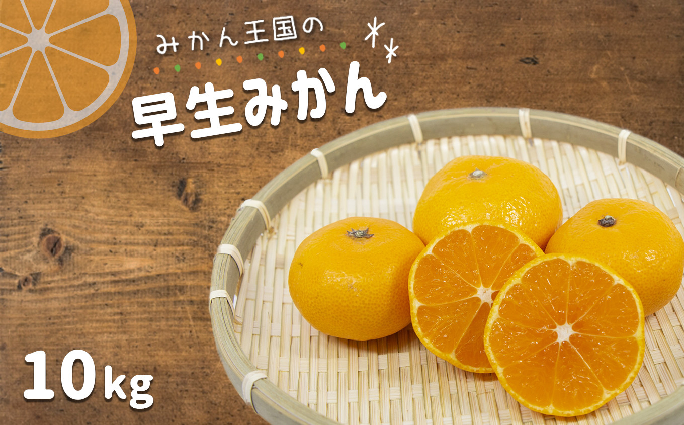 
            『 みかん王国 』 の 早生みかん 10kg | フルーツ 果物 くだもの 柑橘 柑橘類 みかん ミカン 熊本県 玉名市
          