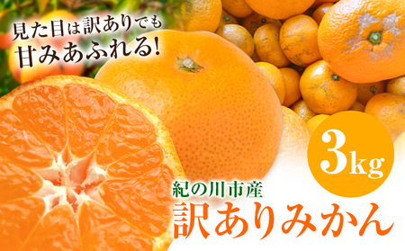 訳ありみかん 3kg こだまファーム《10月中旬-2月下旬頃出荷》和歌山県 紀の川市 みかん ミカン 柑橘 果物 フルーツ 訳あり 訳アリ ご家庭用 和歌山県産