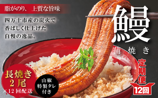 26-1061．【12回定期便】お楽しみ企画 12ヵ月連続＜四万十食品＞うなぎ蒲焼 長焼2尾／ＢＣ
