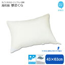 枕 寝具 高性能 ウォッシャブル 夢まくら 43×63cm 清潔 快適 丸洗いOK アレルギー対策 ダニ防止機能 (R-43)