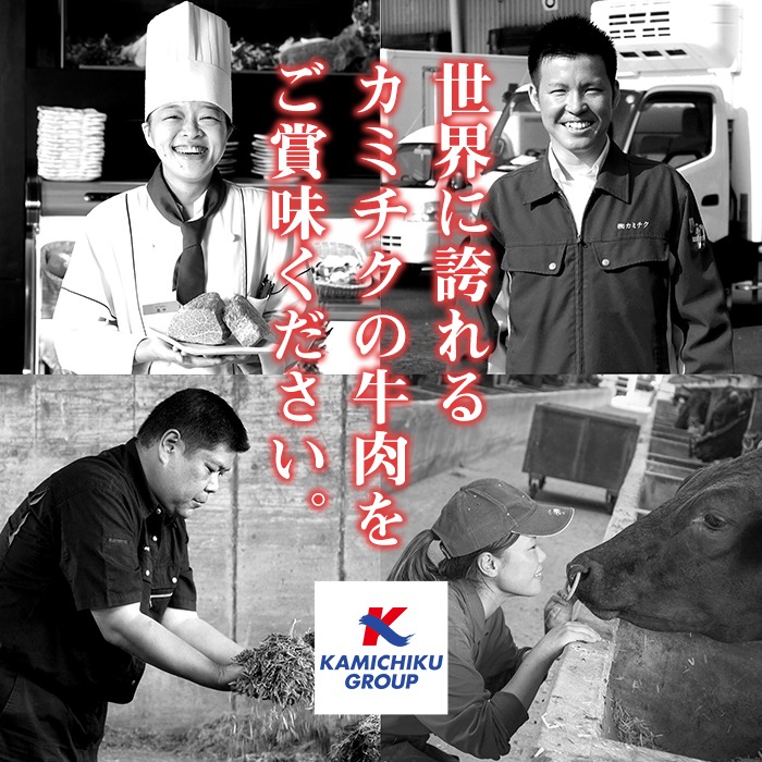 No.754 ＜定期便・全12回(連続)＞お楽しみ！大人気の返礼品定期便(全12回・ステーキ、ハンバーグ、ローストビーフなど)【カミチク】