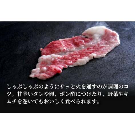 佐賀牛 バラ焼きしゃぶ用 400g 肉 佐賀牛 牛肉 おすすめ ギフト 贈答 黒毛和牛 ランキング 1万円 10000円 N10-65_イメージ4