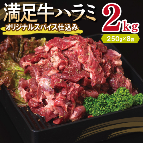 【満足牛ハラミ】オリジナルスパイス仕込み 合計2kg 【味付け ハラミ 小分け 焼くだけ 簡単調理 BBQ 牛肉 250g×8P】 099H3707