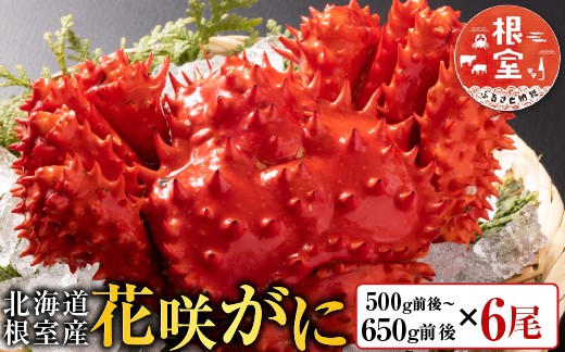 
            D-30043 【北海道根室産】花咲かに500～650g×6尾
          