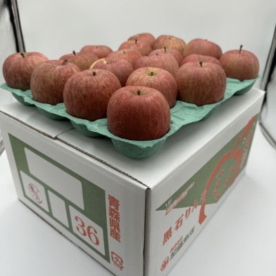 訳ありりんご【サンふじ】10kg(24玉～46玉)　【令和6年11月下旬～随時発送開始】【配送不可地域：離島・沖縄県】