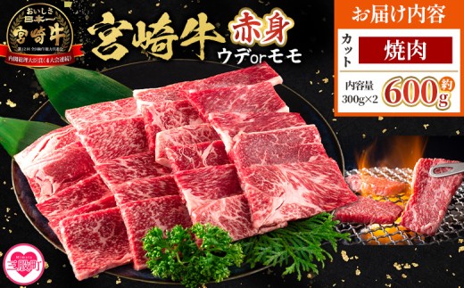 ＜宮崎牛赤身【焼肉】（ウデorモモ）600g＞【5月発送】脂控えめ ヘルシー あっさり うで もも 炒め物 肉料理 ご馳走 国産 ブランド牛肉 黒毛和牛【MI682-my-may】【ミヤチク】