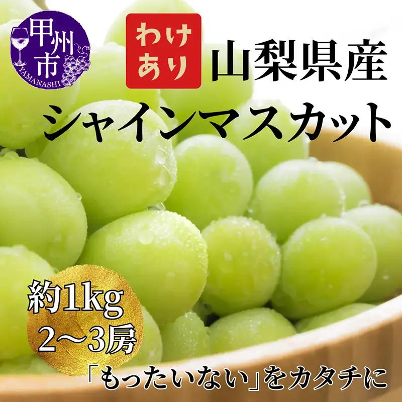 【訳あり】山梨県産旬のシャインマスカット 1kg以上（2～3房）【2025年発送】（LKS）A08-850【シャインマスカット 葡萄 ぶどう ブドウ 令和7年発送 期間限定 山梨県産 甲州市 フルーツ 果物】