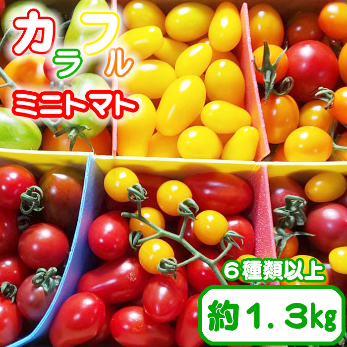 【八幡平産】こだわりカラフルミニトマト1.3kg（6種類以上をお届け） ／ 産地直送 農家直送 詰め合せ トマト