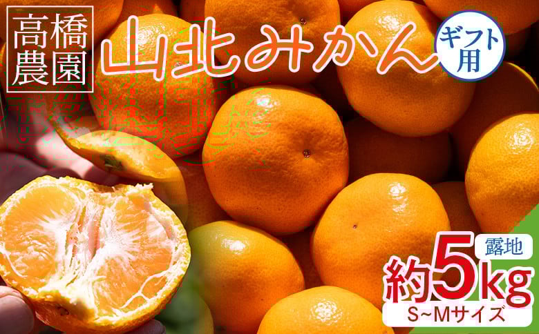 
            みかん 5kg 小玉 山北みかん 高橋農園 (露地・Ｓ～Ｍ) 先行受付 ギフト用 - 果物 フルーツ 柑橘 みかん th-0008
          