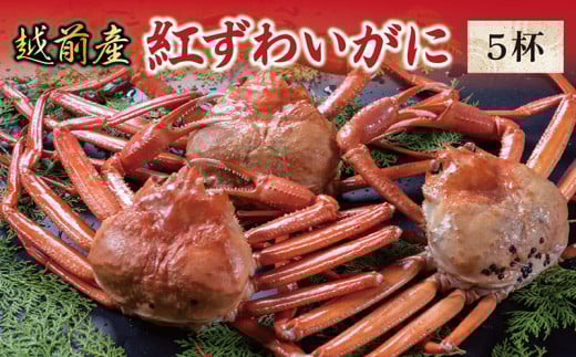【冷蔵発送】越前産　紅ずわいがに 5杯