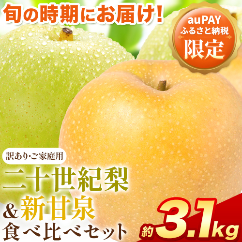 【auPAYふるさと納税限定】梨 なし 二十世紀梨 新甘泉 食べ比べセット 約3.1kg《2026年8月下旬-9月下旬頃出荷》二十世紀梨 梨 ご家庭用 旬 二十世紀 鳥取県 八頭町 なし 果物 フルーツ 特産品 送料無料 デザート【2026年先行予約】