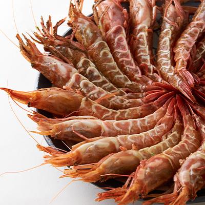 ふるさと納税 新温泉町 浜坂港産　船内冷凍「がらえび」【小サイズ】500g |  | 02