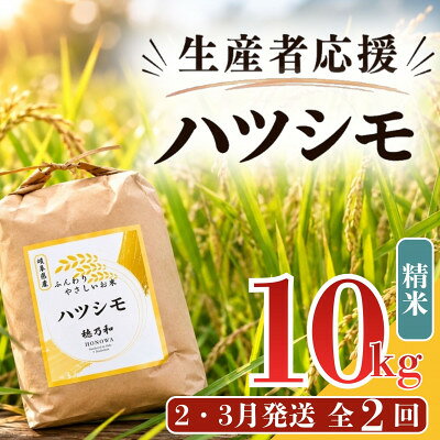 【ふるさと納税】【発送月固定定期便】【先行予約】生産者応援!岐阜県産ハツシモ(精米)10kg【2・3月発送】全2回【配送不可地域：離島】【4089357】